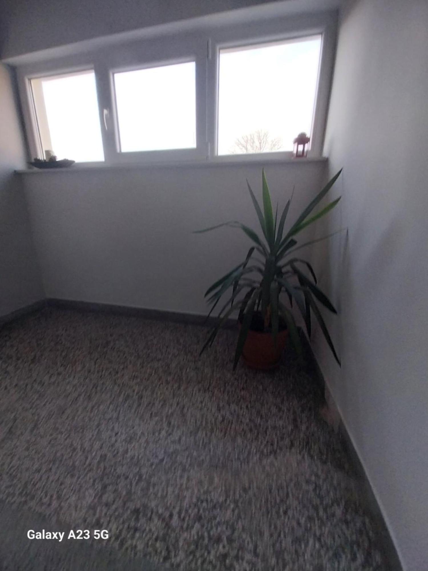 Apartman Bloom Osijek Exterior photo